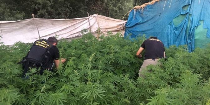 Muş’ta Uyuşturucu Operasyonu