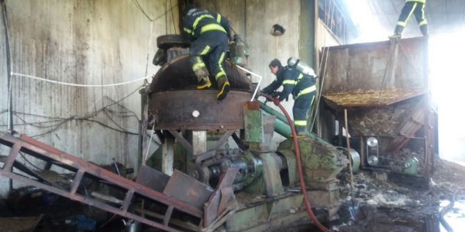 Yüzlerce Hayvan Yanmaktan Son Anda Kurtarıldı