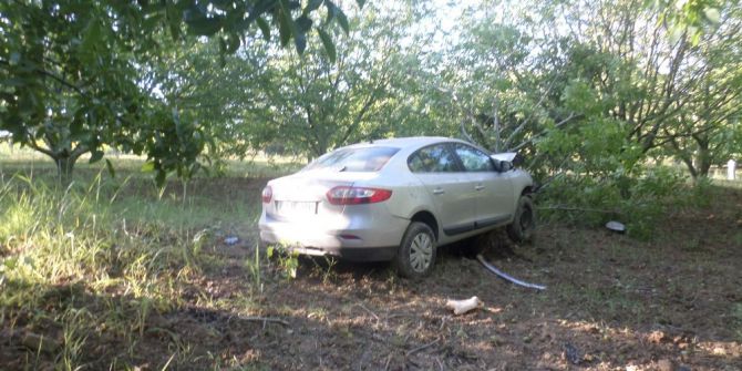 Tekirdağ’da Otomobil Meyve Bahçesine Daldı: 4 Yaralı