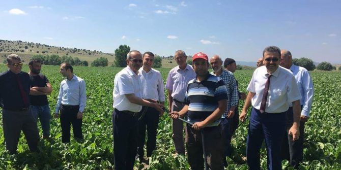 Tarla İçi Damla Sulama Sistemleri İlk Kez Aslanapa’da Uygulanıyor