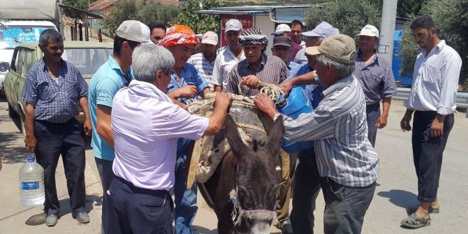 Yıl 2017 Ama Eşeklerle Su Taşıyorlar