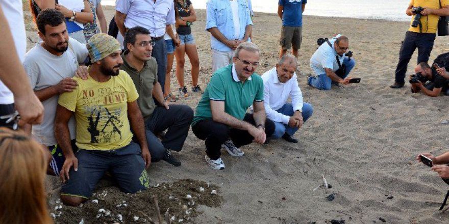 Caretta Carettalara ’Ohal’ Koruması