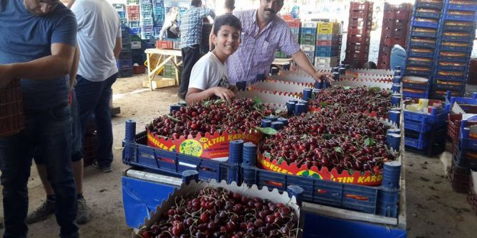 Pazarlar’da Kiraz Sezonu Sona Erdi