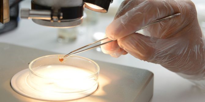 Keneler, Temmuz-ağustos Aylarında Etkinliğini Artırıyor