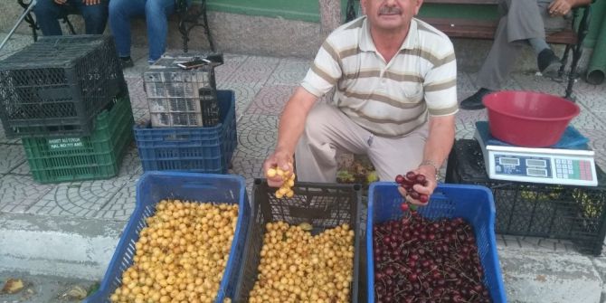 Hisarcık’ta Beyaz Kiraza Rağbet Arttı