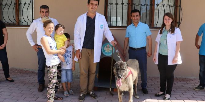 İşkenceye Maruz Kalan ’Masum’ Yeni Ailesine Kavuştu