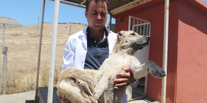 Hayvan Hastanesi Kurulacak