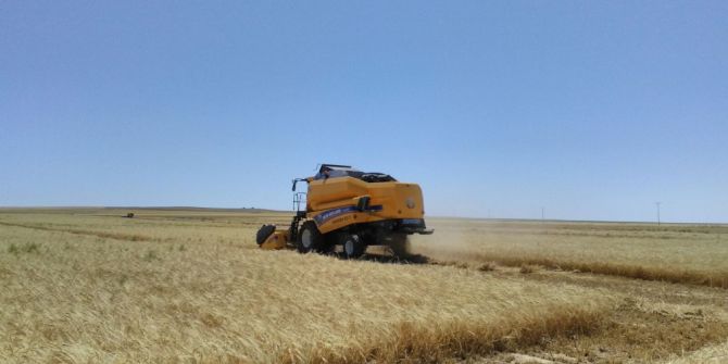 Kulu’da Tarımsal Mahsul Hasadı Başladı