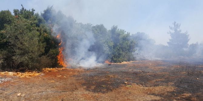 Antalya’da Çalılık Yangını