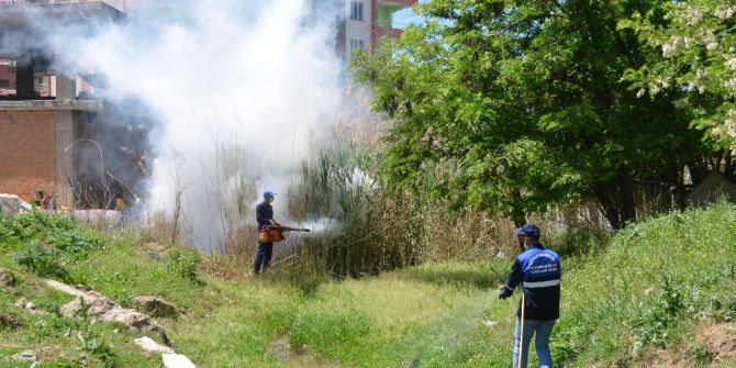 Haşere Ve Sineklere Karşı Aralıksız İlaçlama Yapılıyor