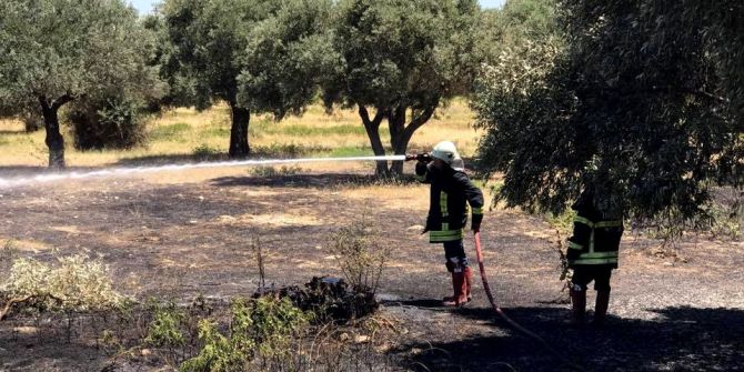 Söke’de İki Saat İçinde 3 Farklı Noktada Kuru Ot Yangını