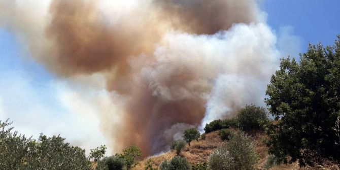 Nazilli’de 3 Hektar Tarım Arazisi Kül Oldu