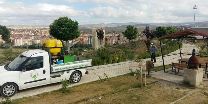 Sungurlu’da Haşere İle Mücadele Çalışmaları Hız Kazandı
