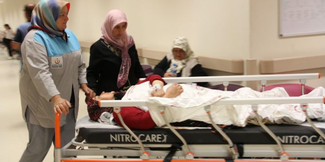 Ağaçtan Düşen Kadın Ağır Yaralandı