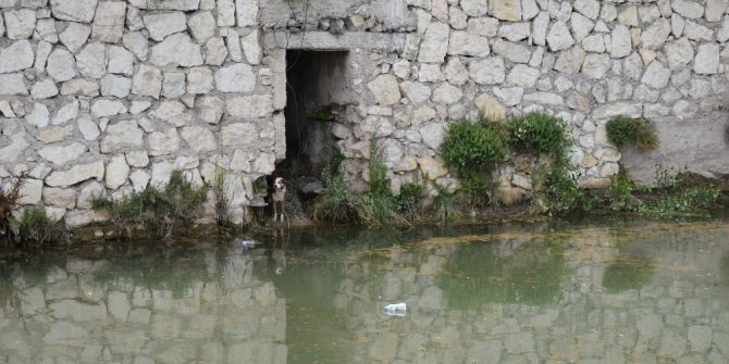 Rögarda Mahsur Kalan Köpek, 6 Saat Sonra Belediye Ekipleri Kurtardı