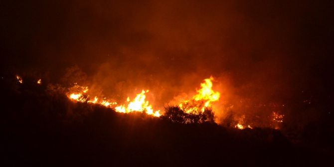 Karşıyaka’daki Yangın Söndürüldü