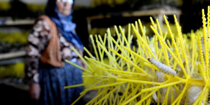 Damızlık Koza Yetiştiriciliği Bitme Noktasına Geldi