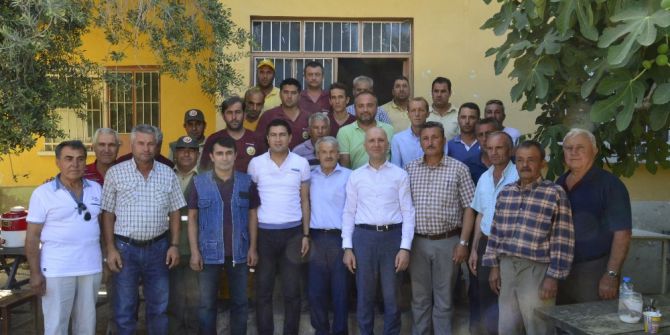 Sarayköy’de Yanan Ormanlık Alanlar Tekrar Yeşillendirilecek