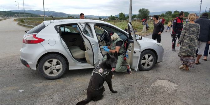 Düzce’de Uyuşturucu Operasyonu