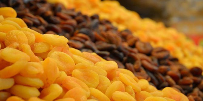 Malatya Kayısısı, Ab’de Aydın İncirine Kardeş Geldi