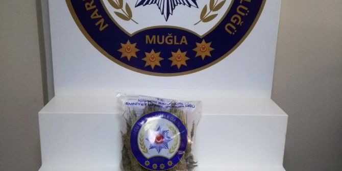 Yolcu Otobüsüne Uyuşturucu Operasyonu