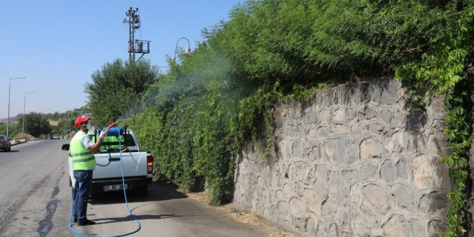 Yeşil Alanlar İlaçlanıyor