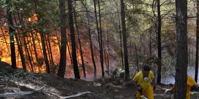 Kozan’da Orman Yangını