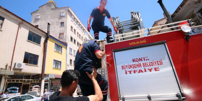 Yaralı Leylek İçin Seferber Oldular