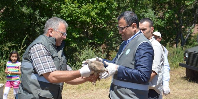 Giresun’da Doğaya 25 Bin Kınalı Keklik Salındı