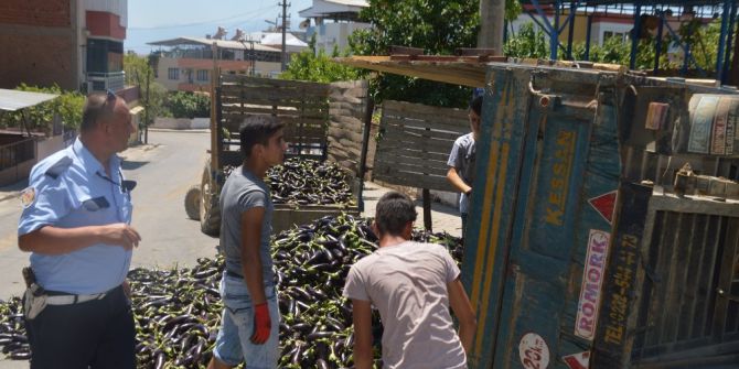 Kanalyolu Patlıcan Tarlasına Döndü