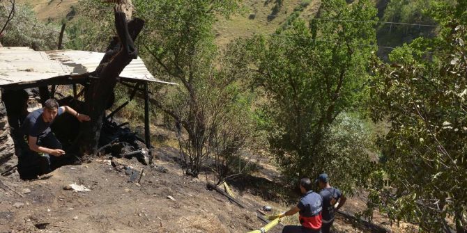 Ormanlık Alanda Yangın