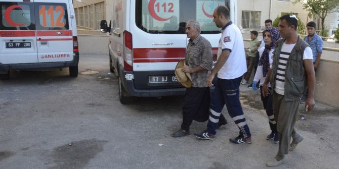 Akraba İki Aile Arasında Dut Ağacı Kavgası: 2 Yaralı