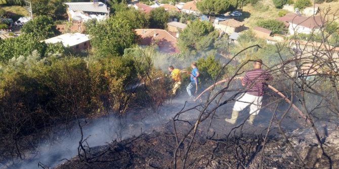 Manisa’da Orman Yangını