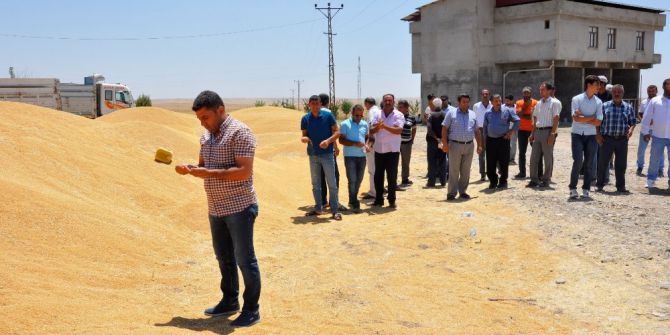 Çiftçilerin Birim Fiyatı Beklentileri Sürüyor