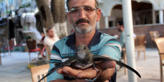 3,5 Yıldır Ebabil Kuşu Omzunda Geziyor, Gören Şaşırıyor