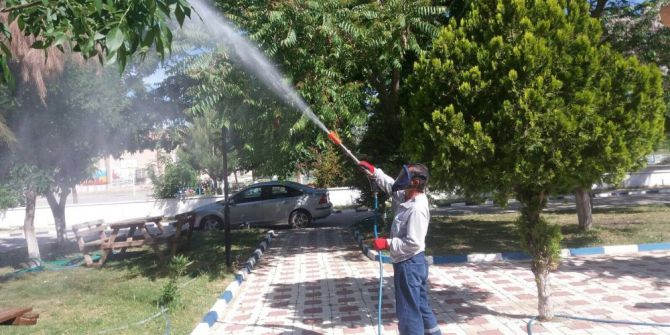 Manisa Büyükşehir’den Köprübaşı’nda Haşere Avı