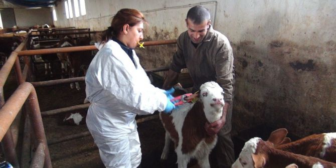 İzmit Belediyeden Küpe Uyarısı