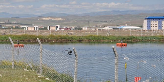 Şeker Fabrikası’nın Koku Yayan Havuzu Tepki Çekiyor