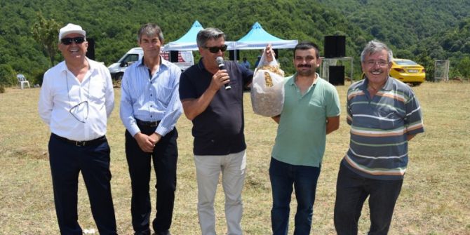 En İyi Ihlamur 5 Bin Tl Değer Gördü