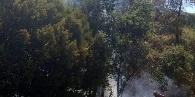 Karpuzlu’da 3 Dönüm Tarım Arazisi Kül Oldu