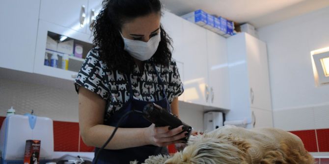 Evcil Hayvan Sahipleri Dikkat