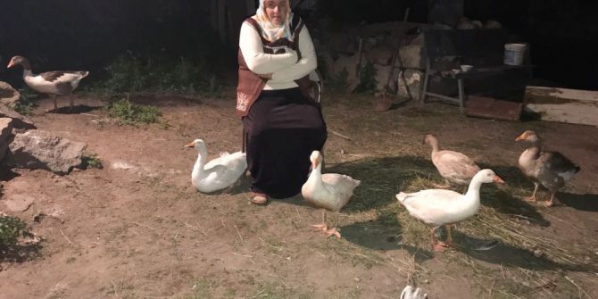 Pazardan Aldığı Kazlar Gözünün Önünde Telef Oldu