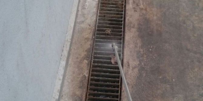 Balıkesir’in 20 İlçesinde Haşere İle Mücadele Sürüyor