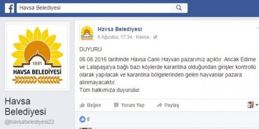 Canlı Hayvan Pazarına Hastalık Önlemi