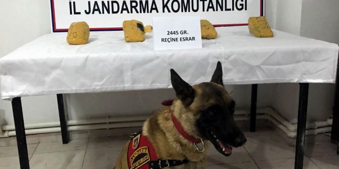 Sivas’ta Yolcu Otobüsünde Esrar Ele Geçirildi