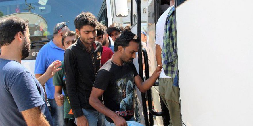 Bodrum’da 239 Kaçak Mülteci Yakalandı