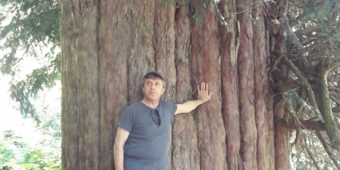 Türkiye’nin En Yaşlı Dünyanın 4. Yaşlı Ağacının Tanıtımını Vali Çınar Yapacak