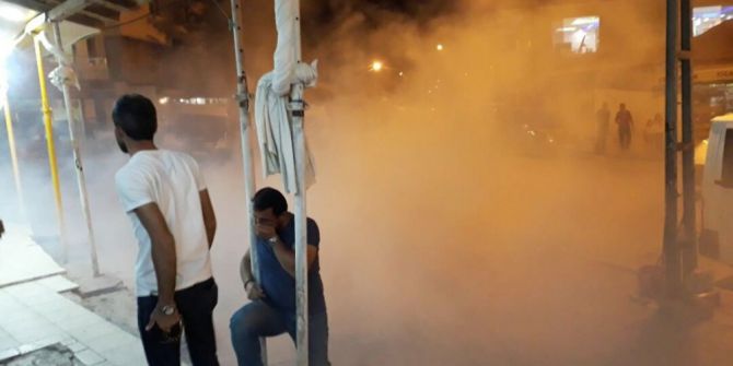 Sivrisineklerle Mücadelede Ortalığı Gaz Kapladı