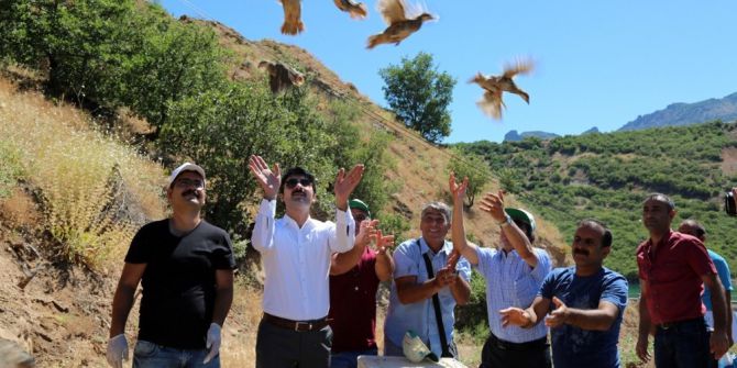 Tunceli’de Doğaya Bin Keklik Bırakıldı