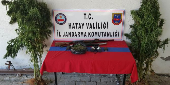 Hatay’da Uyuşturucu Operasyonu